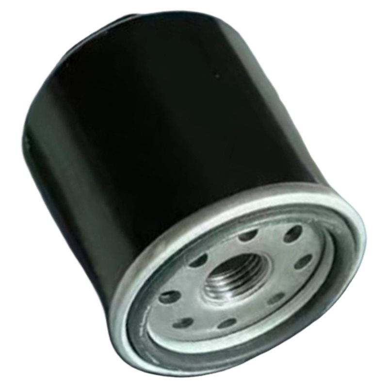 SHGO-320-400CC BS175MN-184MN F - Motorcycle Oil Filter recensione e prezzo
