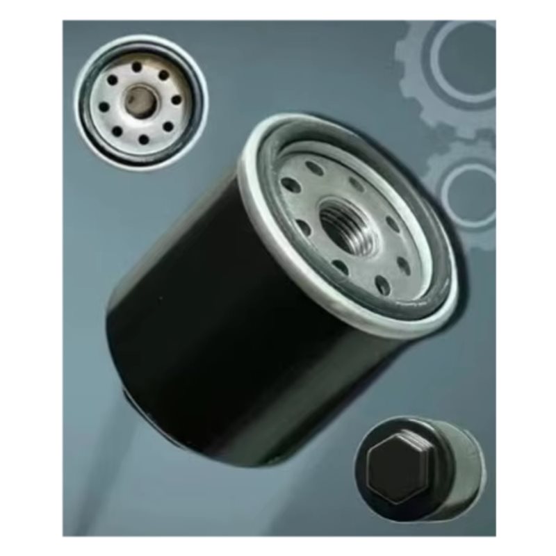 SHGO-320-400CC BS175MN-184MN F - Motorcycle Oil Filter recensione e prezzo