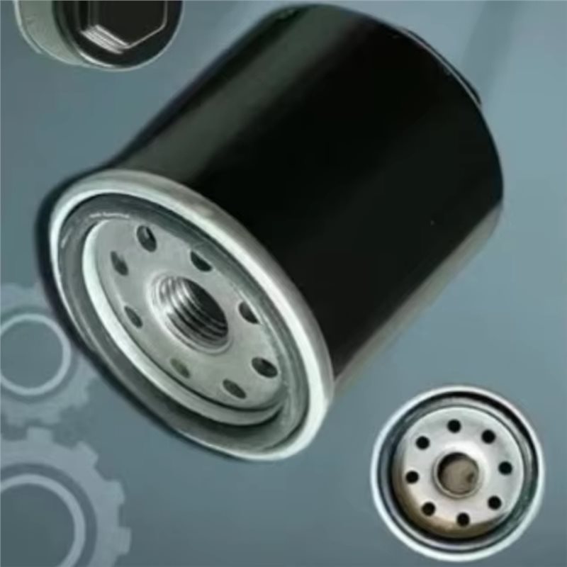 SHGO-320-400CC BS175MN-184MN F - Motorcycle Oil Filter recensione e prezzo